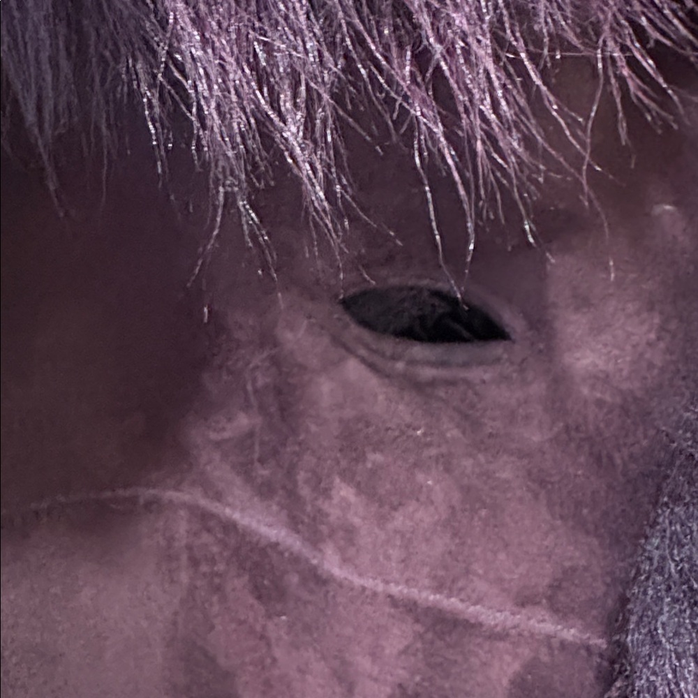 DKNY Deep Brown Teddy Jacket with Faux Fur Trim - Picture 7 of 13